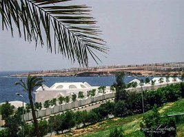 Sharm 053