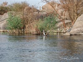 L'isola di Kitchener 01