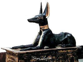 museo anubis