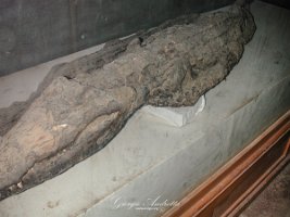 komombo coccodrillo mummificato