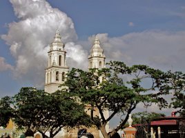 Catedral de Nuestra Señora de la Inmaculada Concepción 1