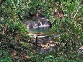 Laghetto della cascata 1