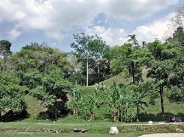 Panoramica del sito di Palenque 3