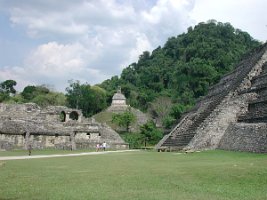 Panoramica del sito di Palenque 4