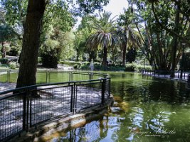 Jardim da Estrela 5