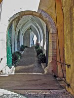 Palacio da Pena 009