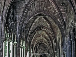 cattedrale lisbona 006 - copia