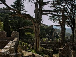 Castelo dos Mouros 11