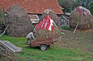 Cluj Napoca 03