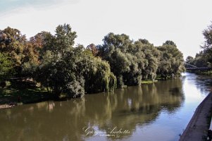 oradea_038