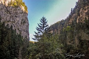 gole_di_bicaz_0285