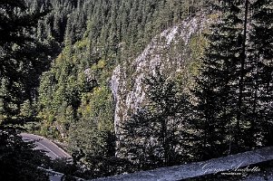 gole_di_bicaz_0297