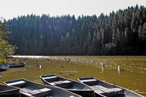 lacul_rosu_0305