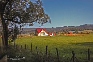 Piatra_Neamt_0210