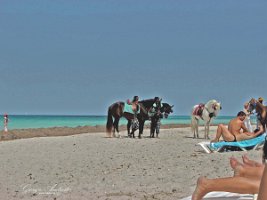 djerba_004