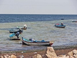 djerba_porto_1