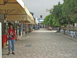 djerba_Houmt_ Souk_008